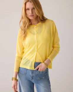 Classic cardigan^Summum Online